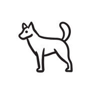 What is CATT? What is CATT?